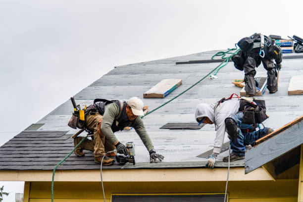 Professional Roofing technician working in Green Camp, OH